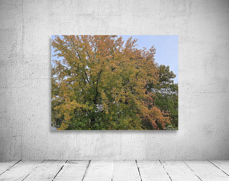 20251031 171325 - Image 2